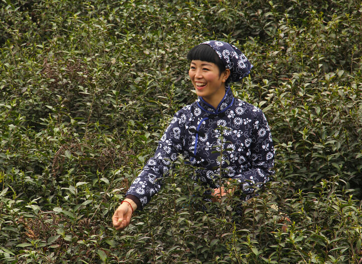 152网主 霓虹侦探